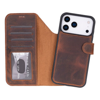 Saddle_Brown